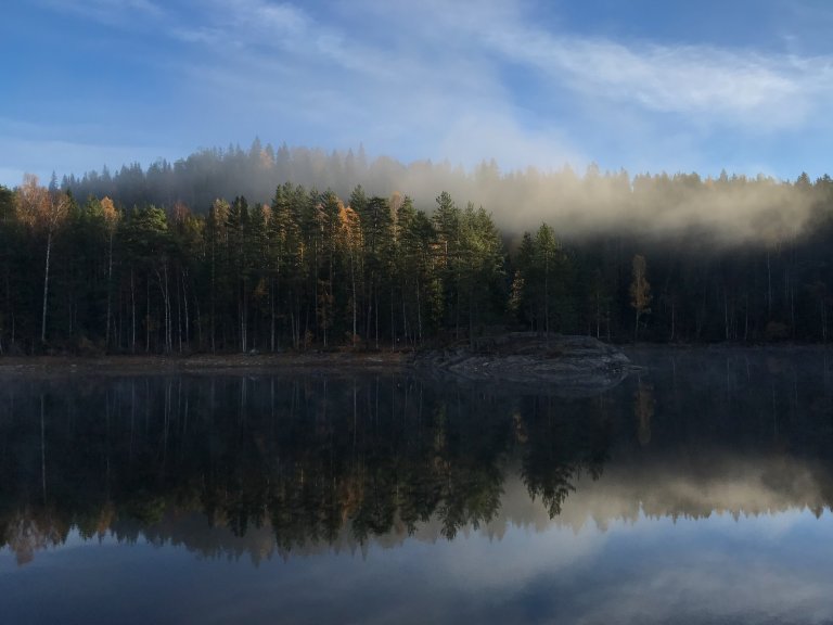 Skogsvann_AnetteTjomsland.jpg