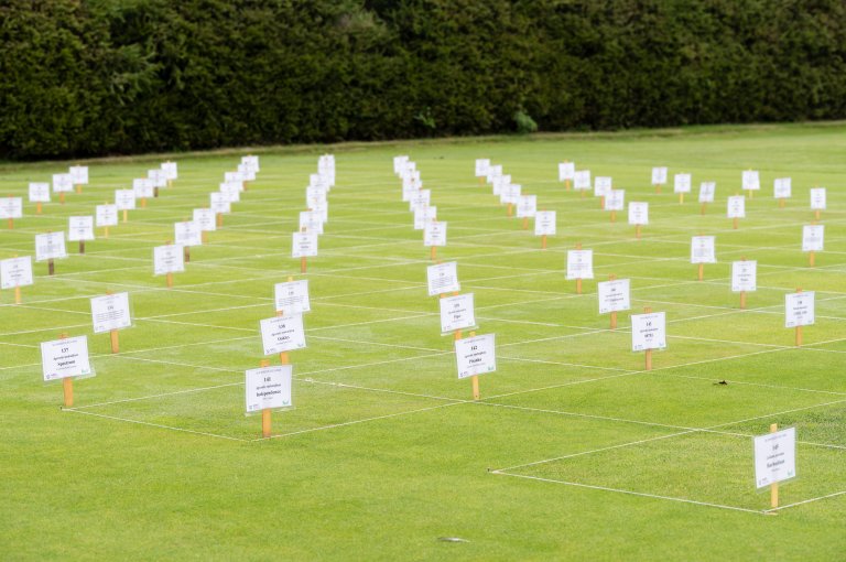 Scangreen forsøksfelt. Foto: Lars Sandved dalen, NIBIO