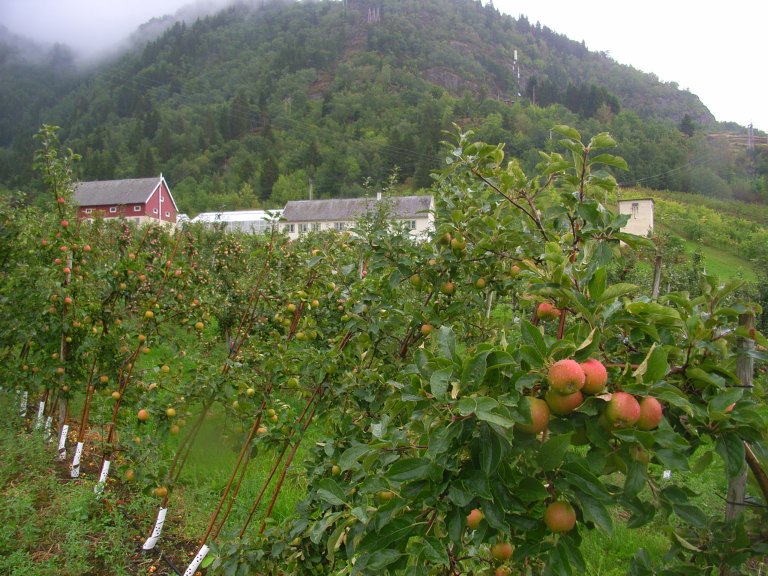 RIMG6343_Njøsfruktogbærsenter.JPG