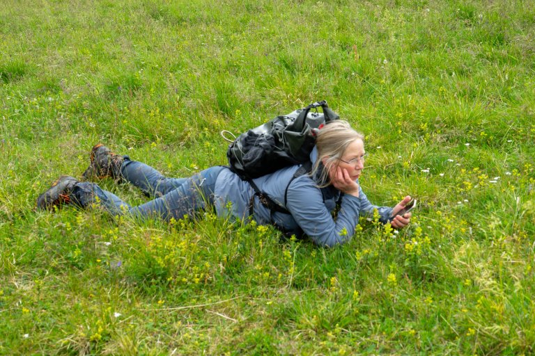 Dr Kari Anne Bråthen in an essentially crowberry-free meadow. She has no wish to eradicate crowberry, merely control it. Photo: Janike Kampevold Larsen