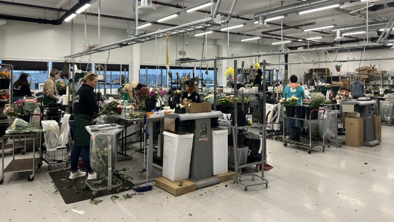 På hovedkontoret til Mester Grønn i Lier kommer det inn blomster og planter fra både inn- og utland for distribusjon til kjedens butikker. Foto: Kathrine Torday Gulden