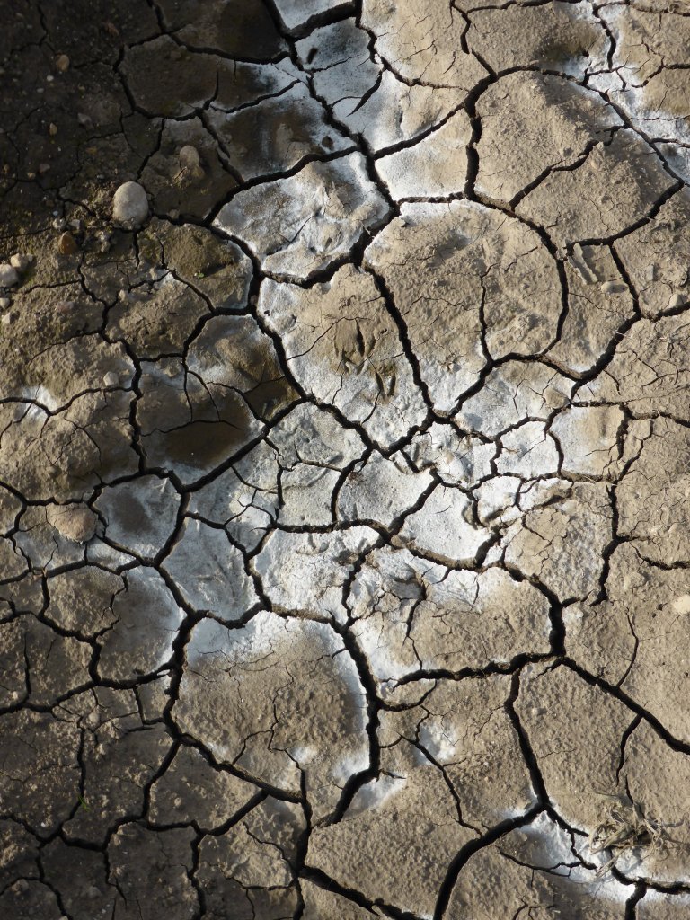 Soil salinisation in Spain.JPG