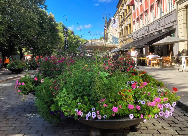 Plantekontainerne i Oslo har flere funksjoner og er svært dekorative. Plantene kunne også ha vært spiselige, enten med salat, jordbær, eller for den del spiselige blomster, som det også finnes mange av. Foto: Guri Tveito, LMD