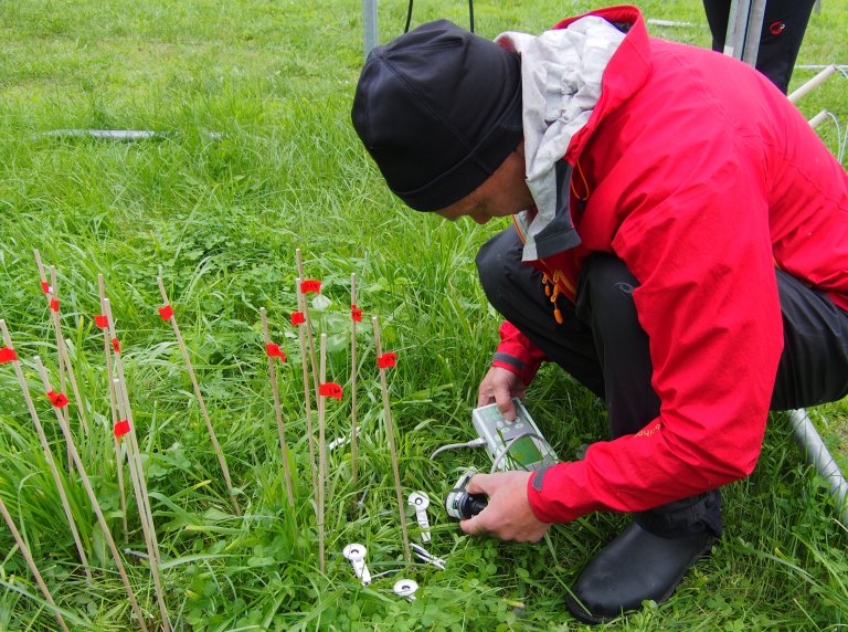 Mats measures fluorescence.jpg