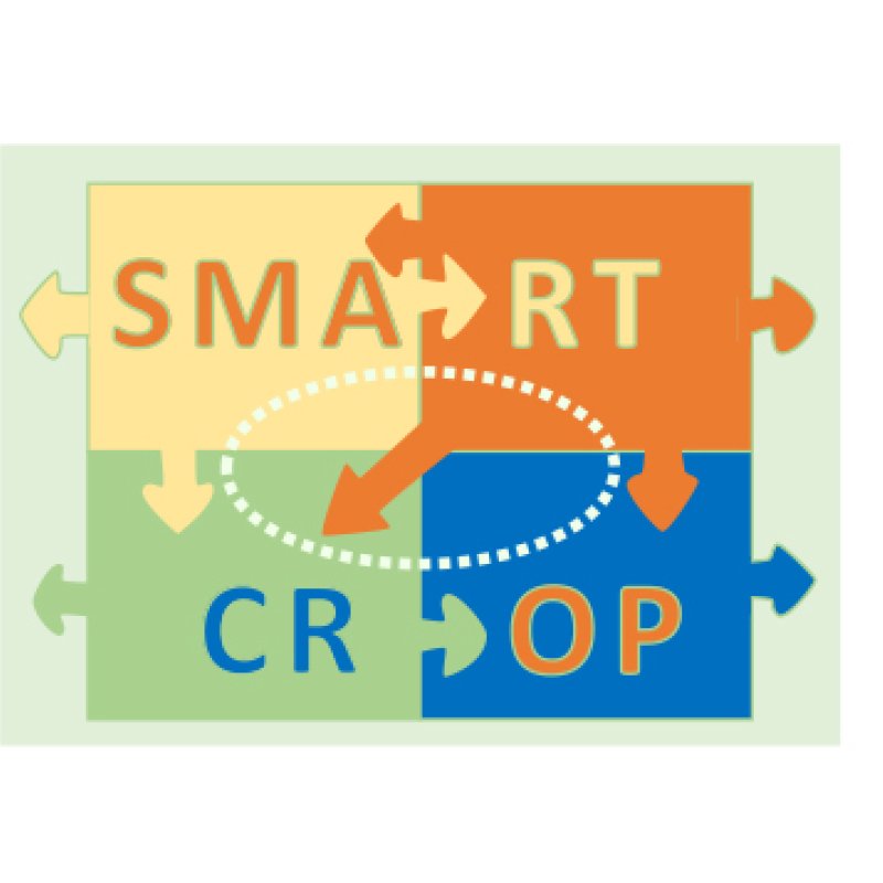 SMARTCROP-2-1600-2