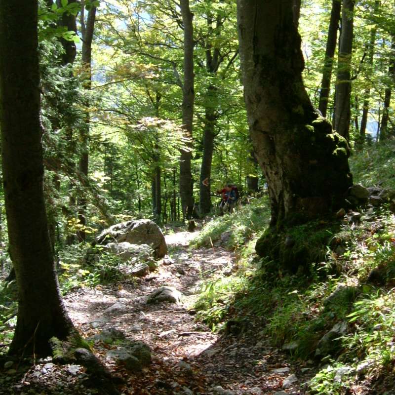 2005_1001Image0004