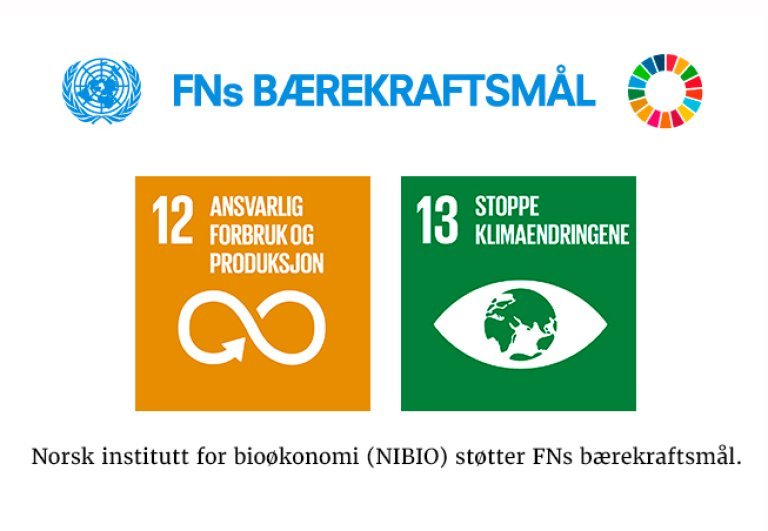 FNs bærekraftsmål 12 og 13.jpg