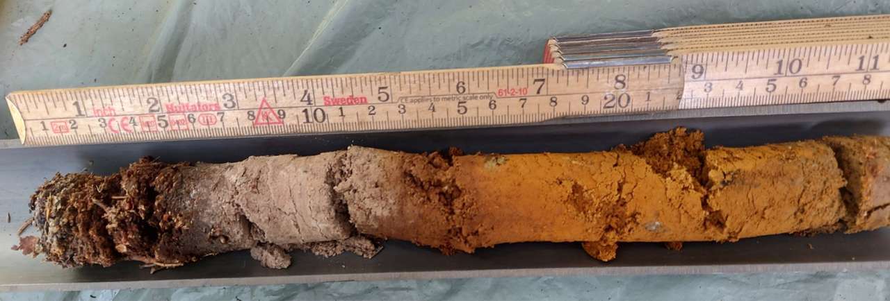 Soil grid sample