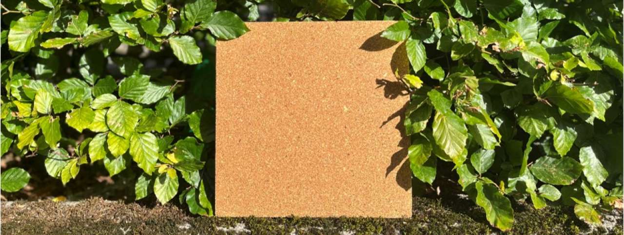 Particle board from treated shavings