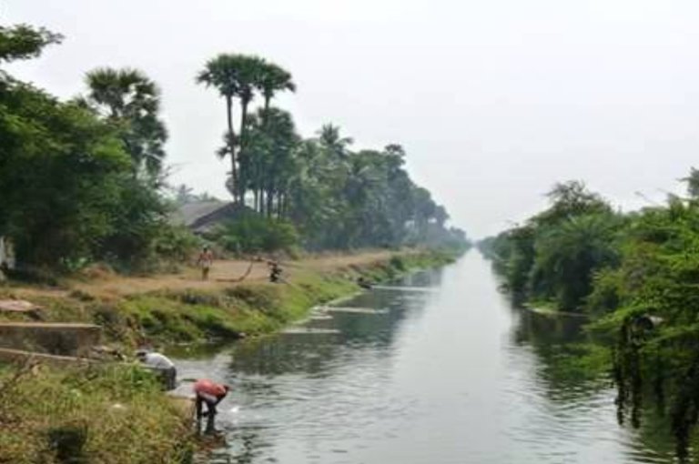 tungabadra side canal 1.jpg