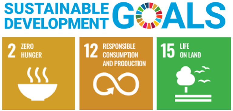 SDG2,12,15.png