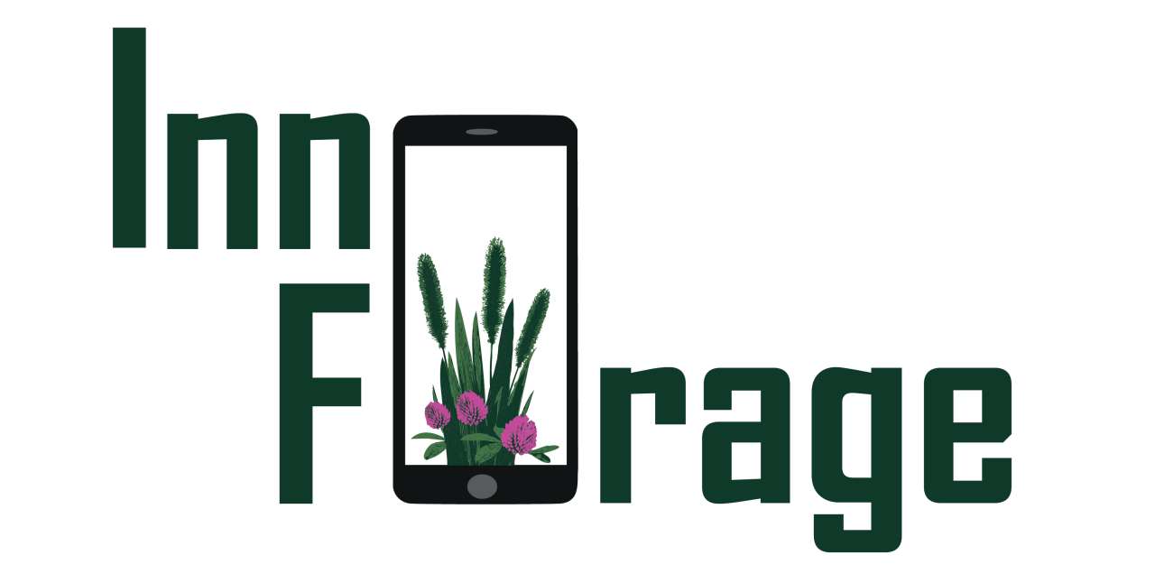 InnoForage logo timothy and clover