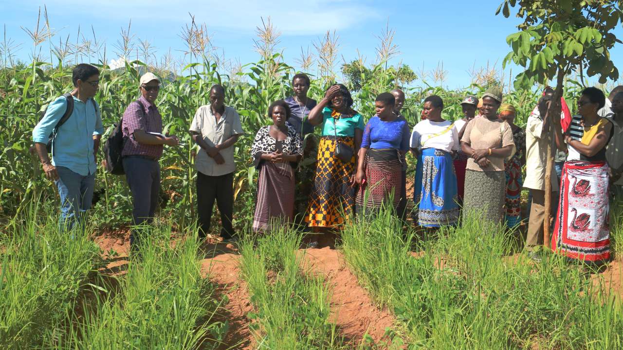 masai village_cropped