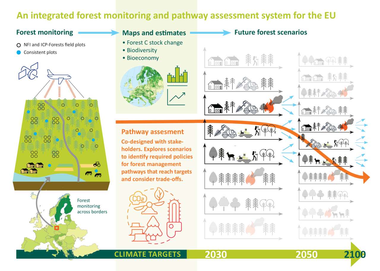 Pathway assesment graphic