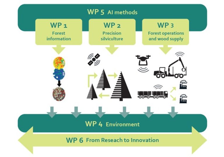WP structure new.jpg