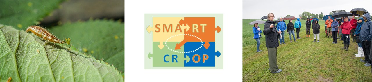 SMARTCROP-2-1600-2