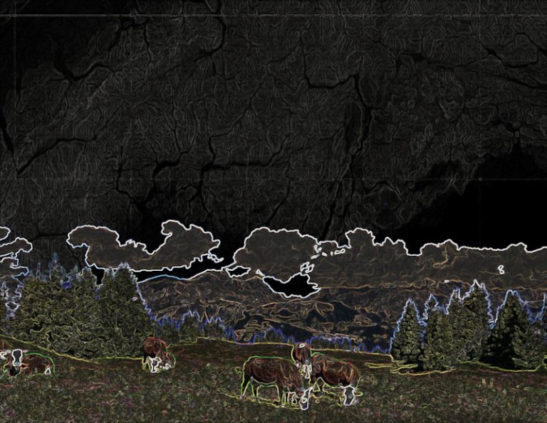 Remote sensing illustration_Eugenio Carlon_edited for web.jpg