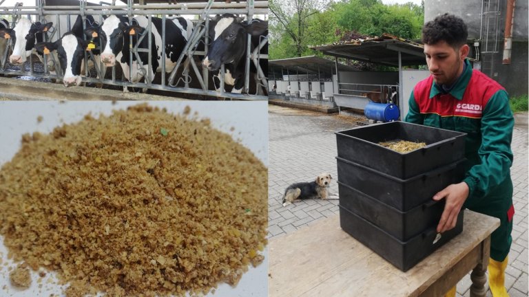 Bakery by-product collage.jpg