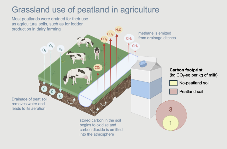 Graphical abstract.png