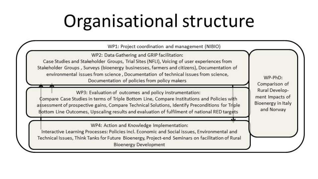 triborn-organisational-structure