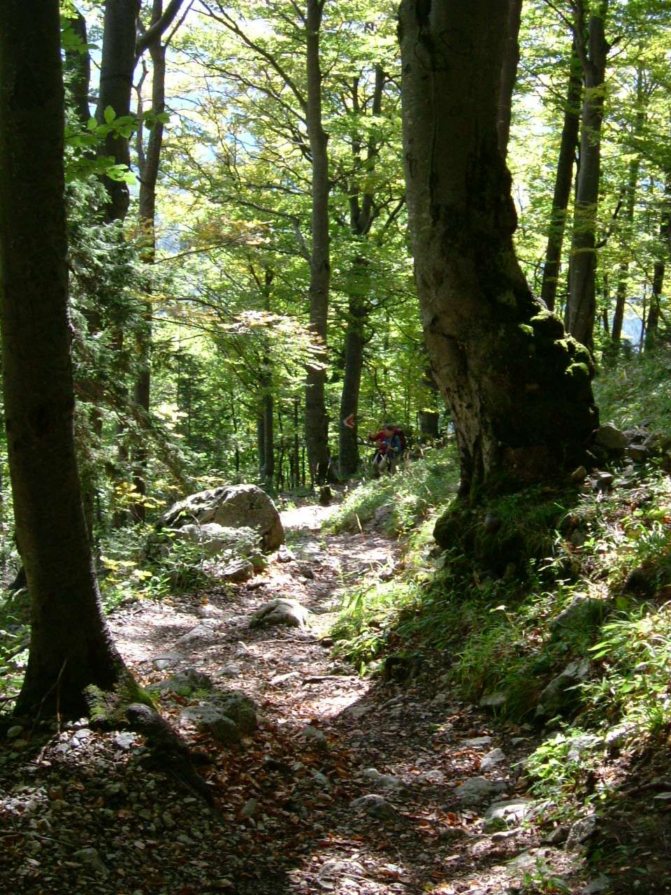 2005_1001Image0004