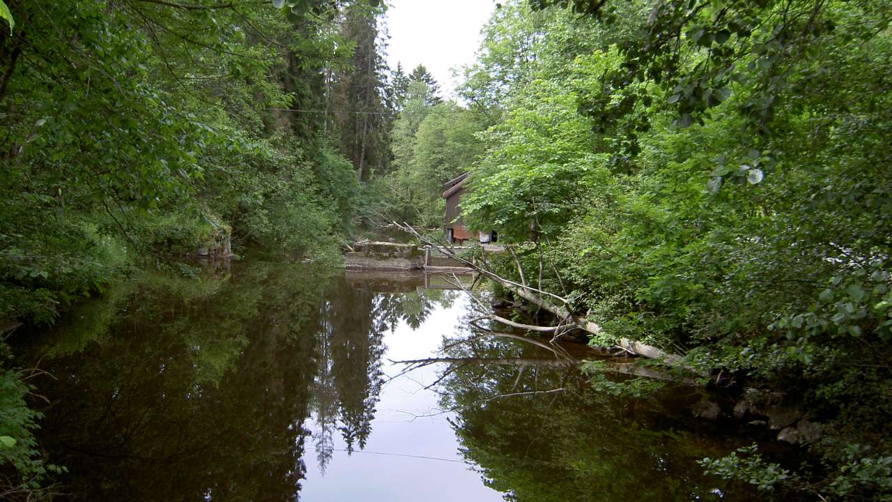 Hobølelva rett nedstr Mjær