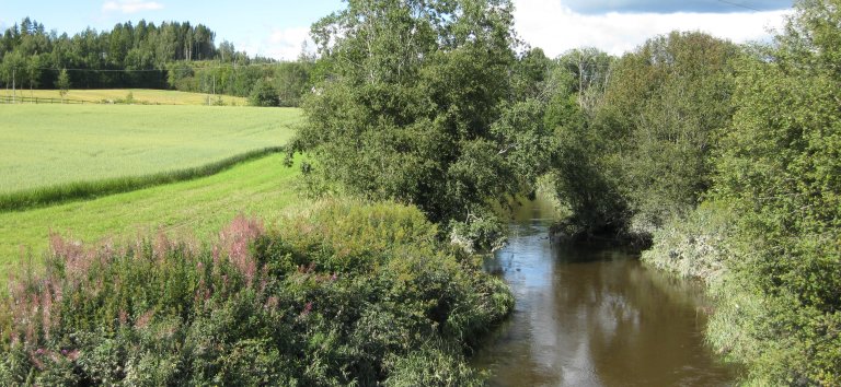 Elv m åker_vegsone Foto E. Skarbøvik.JPG