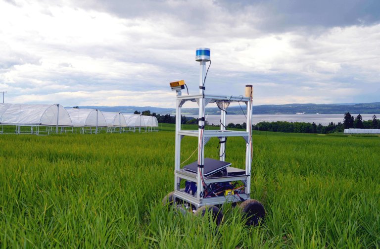 UGV-rover-field.jpg