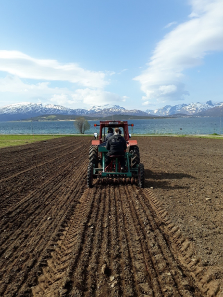 Økte temperaturer gir nye muligheter for mat- og grovfôrproduksjon i nord. Foto: Sigridur Dalmannsdottir