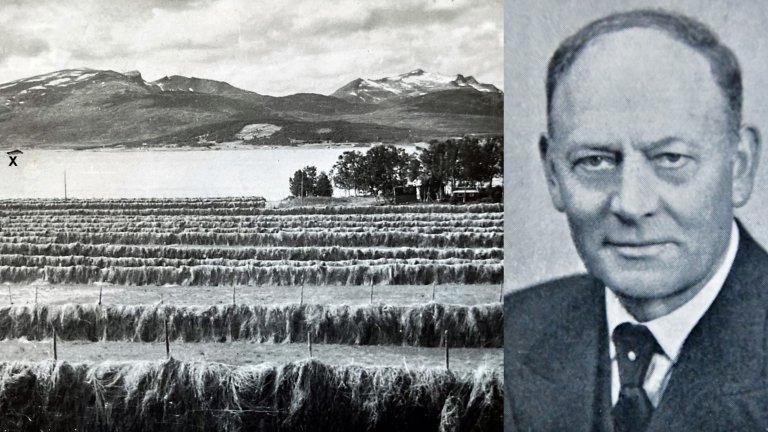 Utsikt fra Holt i 1946. Høyhesjene står tett i tett og i bakgrunnen skimtes restene av Tirpitz (kryss). Slagskipet Tirpitz var et av de største krigsskipene Tyskland hadde.  Til høyre stasjonsleder Karl Fjærvoll. Foto: Ukjent fotograf