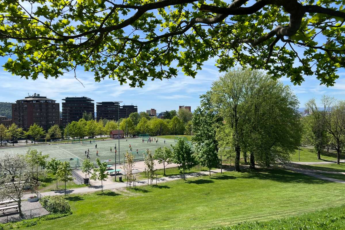 Grøntstruktur_Oslo_KTG (7)