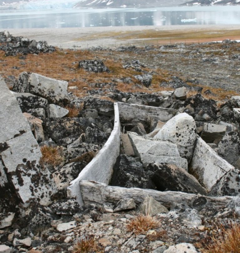A wooden coffin has been pushed up by the permafrost and is exposed to weather, wind, and the trampling of tourists in the large burial ground at Graveneset, northwest Spitsbergen, Svalbard. Photo: Anne-Cathrine Flyen, NIKU