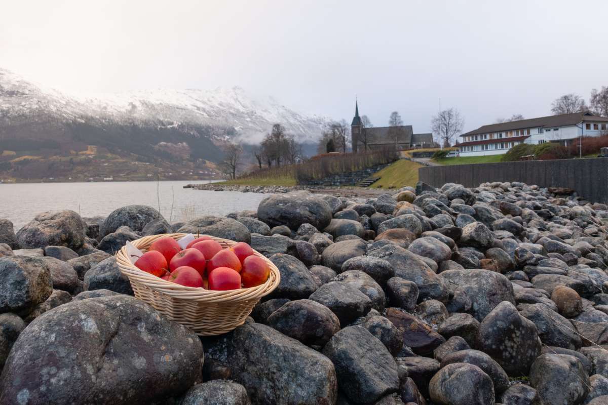 20231219-heul_Rubinstep_Ullensvang