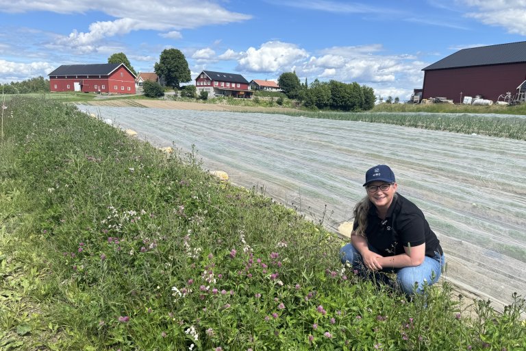 - Neste gang du ser at guleroten er litt skeiv eller et lite insekt dukker opp blant salatbladene, kan du tenke på det som en påminnelse om at maten vår faktisk kommer fra levende økosystemer. Det er ikke noe å rynke på nesa over, sier NIBIO-forsker Annette Folkedal Schjøll. Foto Siri Elise Dybdal