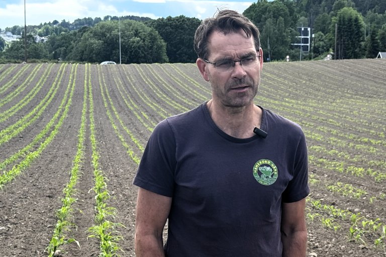 På Haneborg gård i Drøbak dyrker bonden Ole Martin Tomter rundt 50–60 ulike grønnsaksslag til både selvplukk og gårdsbutikk. Målet hans er å bruke minst mulig plantevernmidler og i stedet legge til rette for at naturens egne hjelpere holder skadeinsektene i sjakk. Foto Siri Elise Dybdal