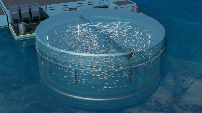 Illustrasjon av den lukkede matfisktanken tilkoblet rense- og forsyningsanlegget. Tanken har kun tidevannsbevegelser opp og ned. Illustrasjon: Multigen Akva