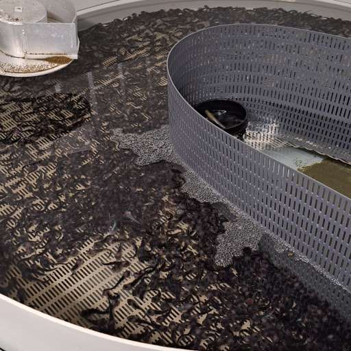 Fisken kan bli et biprodukt i fremtidens oppdrett