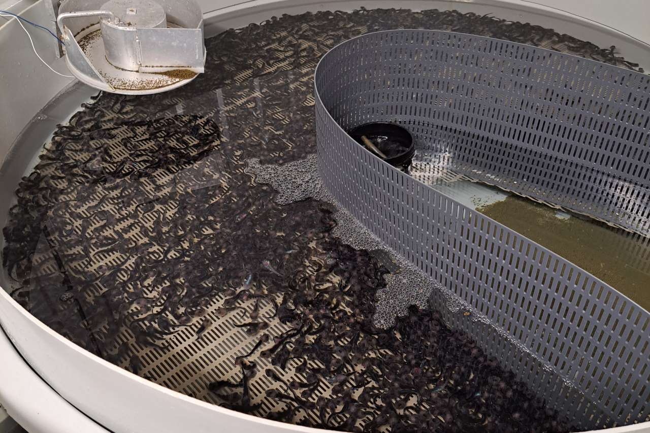 20230804_085351_cropped