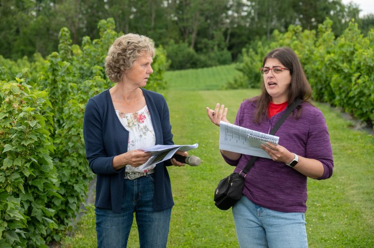 Planteforedler Amanda Moura fra James Hutton Institute kunne vise fram mulige nye ‘Ben’-solbærsorter i forsøksfeltene på Apelsvoll sammen med Anita Sønsteby, NIBIO. Foto: Erling Fløistad