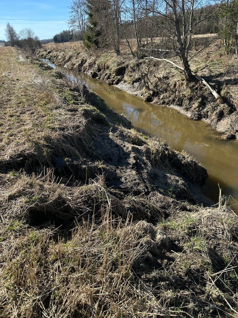 Flere av deltakerne trakk fram treplanting langs vassdraget, restaurering av kantvegetasjon og ulike former for vannfordrøyning som aktuelle tiltak. Det ble også diskutert hvordan nye utbyggingsområder kan planlegges slik at mer regnvann holdes tilbake lokalt før det når elva. Innspillene fra workshopen vil nå bli tatt med videre i prosjektarbeidet. Foto: Kathrine Torday Gulden