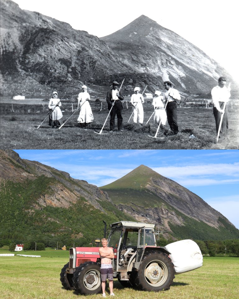 Slåttonn på Steigen i Nordland i 1930 og 2018. Arbeidskvardagen til bonden har endra seg mykje. Dagens bonde er ein driftsleiar med mange fleire oppgåver enn rein produksjon. Foto: Oskar Puschmann
