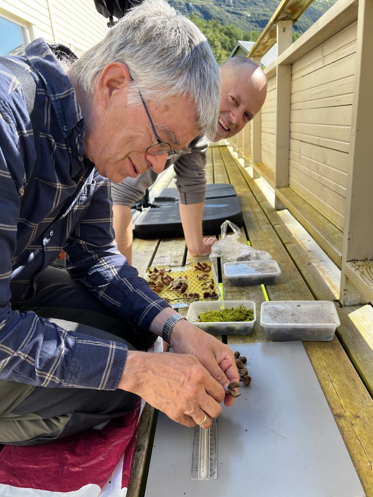 Tor Erik Brandrud tar seg av den standardiserte fotograferingen av soppartene forskerne har sanket inn. Foto: Liv Jorunn Hind