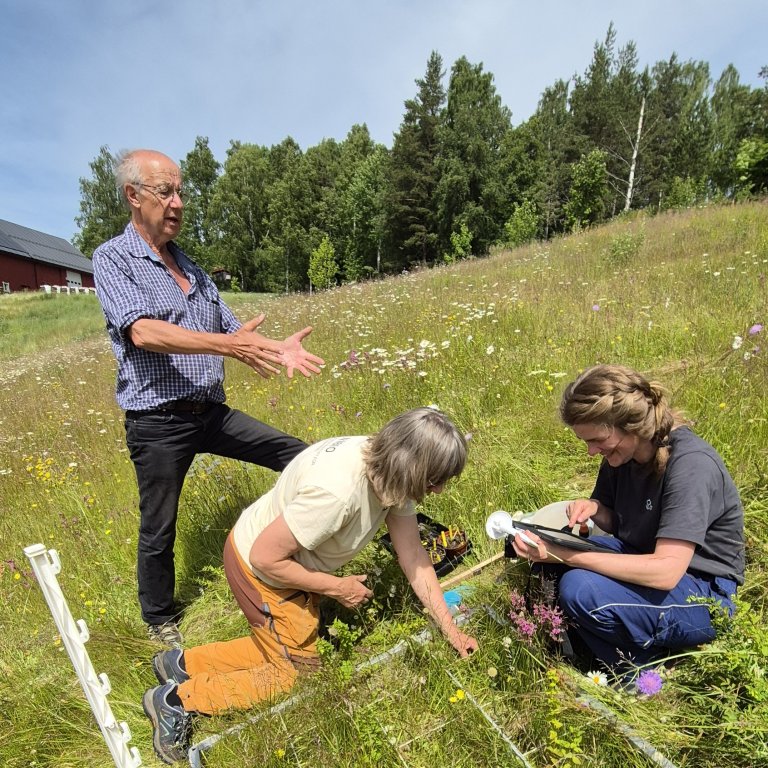 Gode råd fra sidelinjen. Foto: Morten Günther