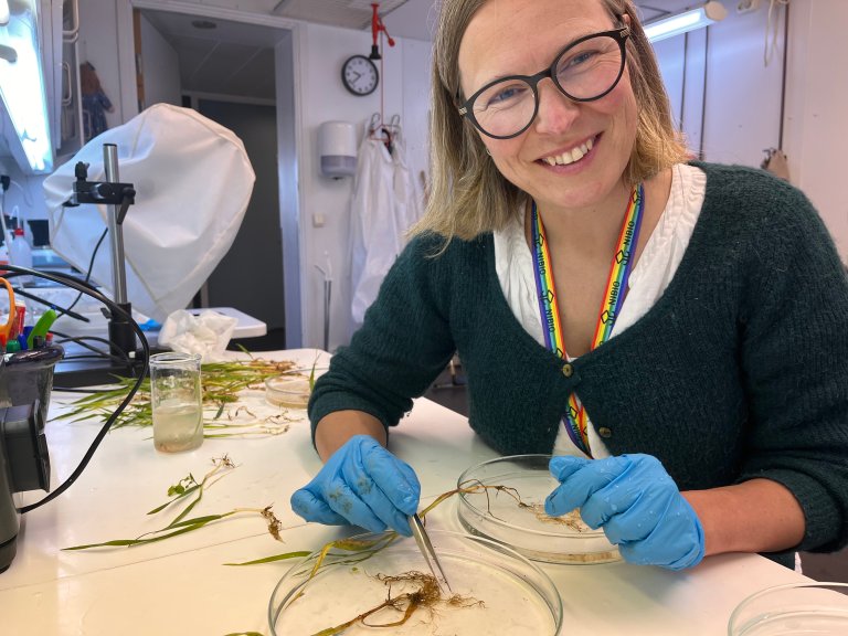 Marit Skuterud Vennatrø undersøker unge planter for symptom. Foto: Silje Kvist Simonsen