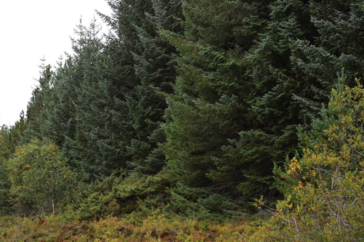 DSC_5791_cropped.jpg
