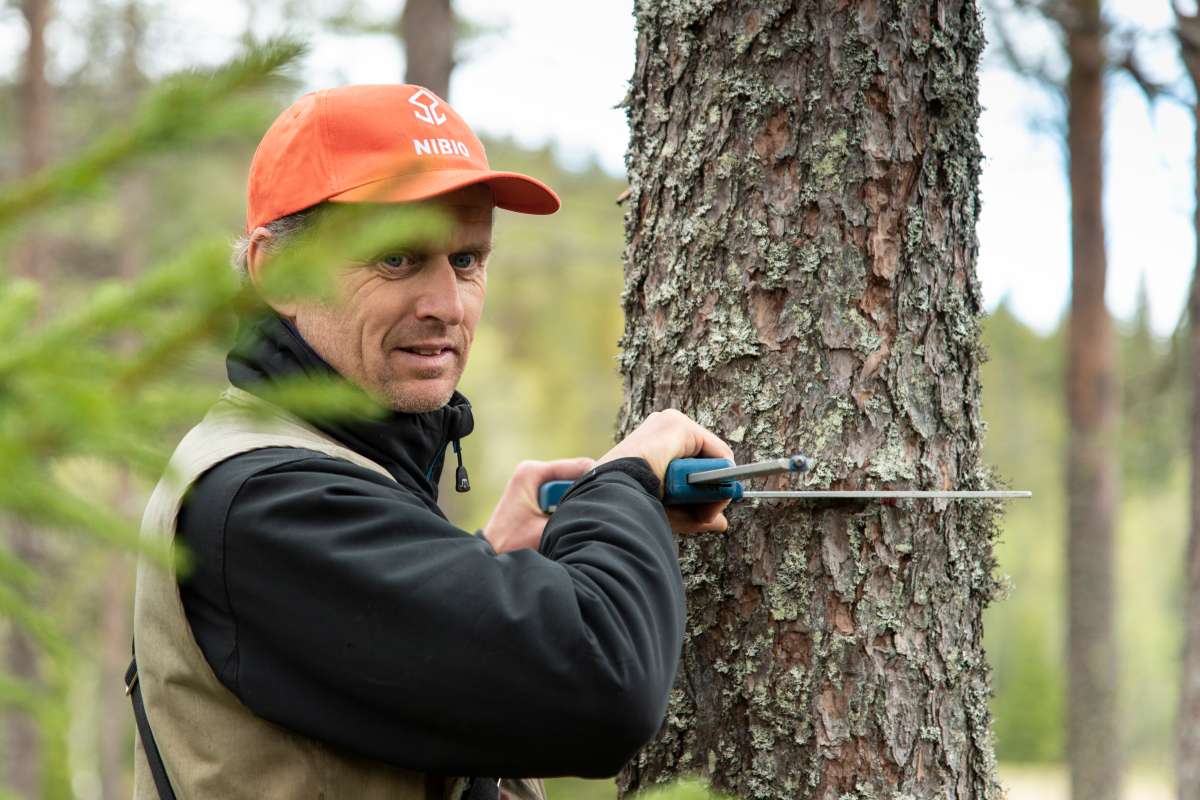 Erik Sørensen - Foto Lars Sandved Dalen - NIBIO - 2