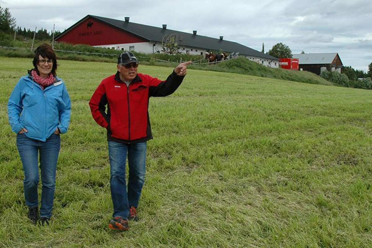 gras 1 - jørgensen og holden j.sch.