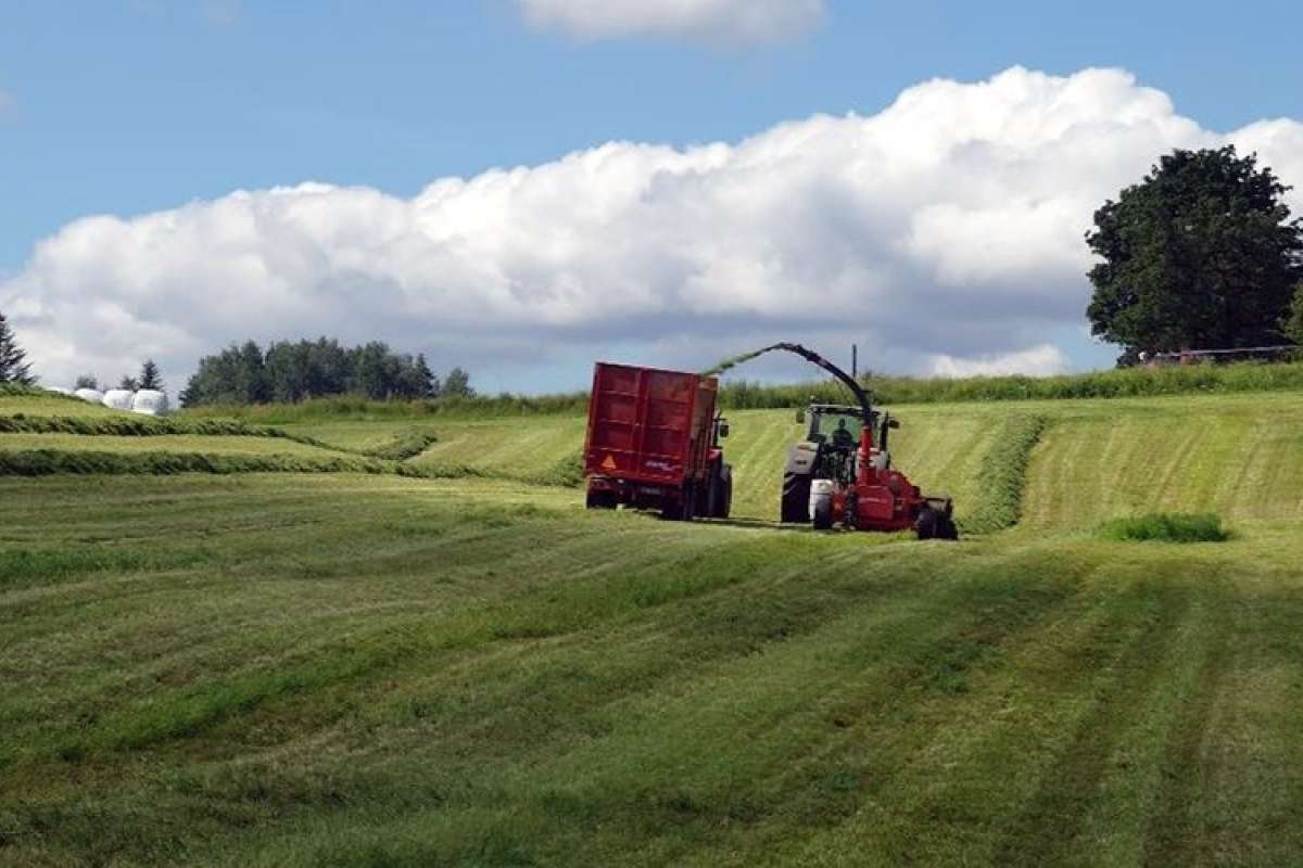 grovfor-traktor_åshild t randby