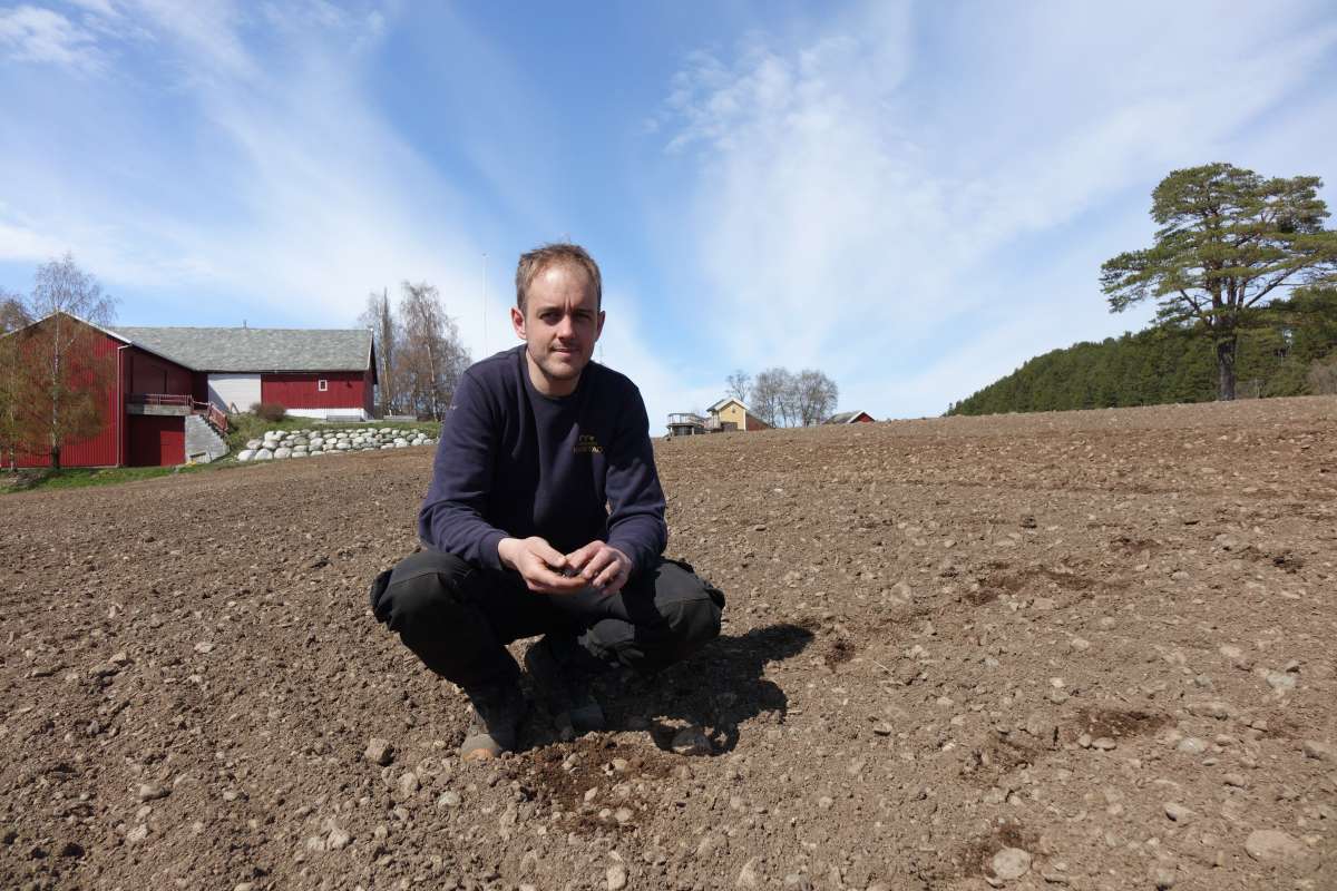 Hoved alt 1 B Våronn Meldal Rikstad nær