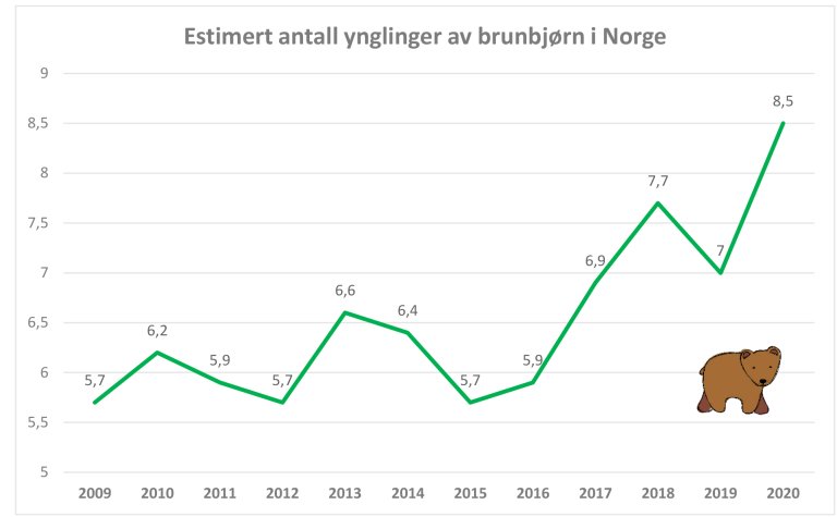 figur.jpg